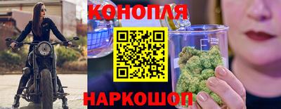 спиды Гусев