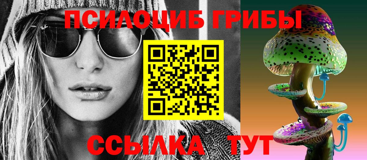 Отрадное  Псилоцибиновые грибы GOLDEN TEACHER  Вход с VPN 
